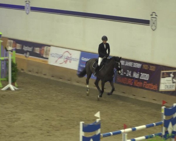 Reitturnier Elmshorn 2020