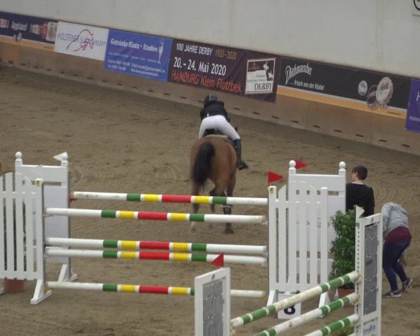 Reitturnier Elmshorn 2020