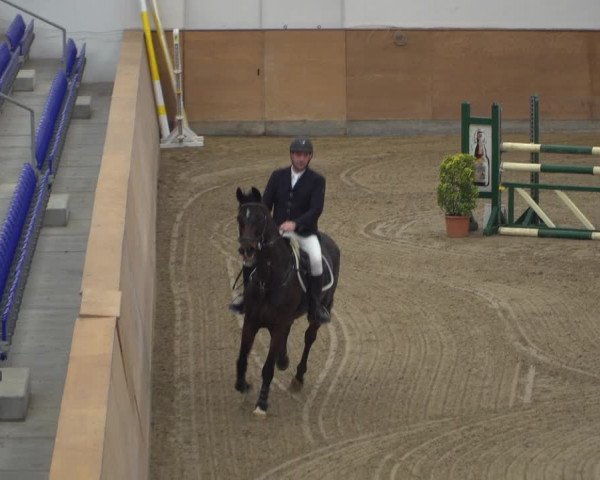 Reitturnier Elmshorn 2020