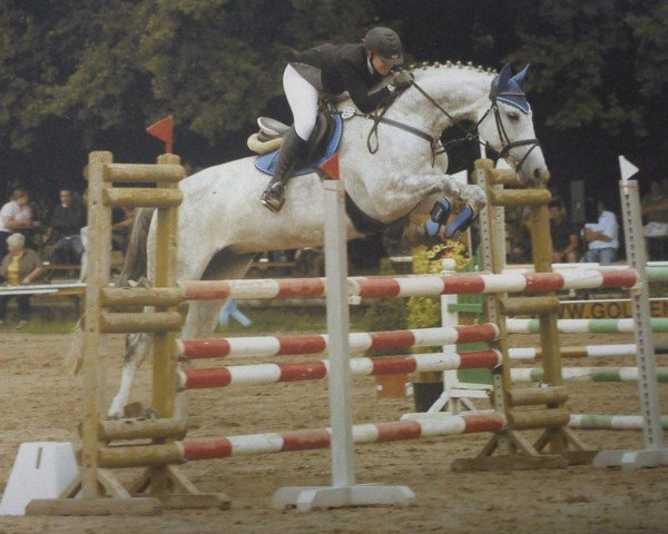 jumper Shakira 68 (Slovenian Warmblood, 1999, from Scampolo)