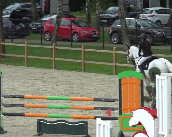 Reitturnier Westergellersen 2021