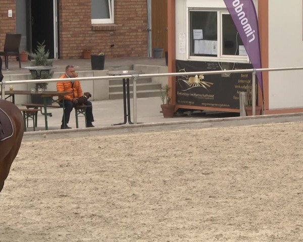 Reitturnier Durmersheim-Hardt 2021