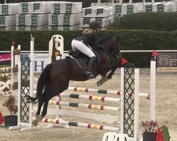 Reitturnier Durmersheim-Hardt 2021