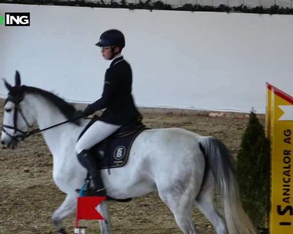 Reitturnier Würenlos 2020