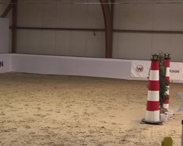 Reitturnier Barlo-Bocholt 2020
