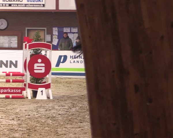 Reitturnier Barlo-Bocholt 2020