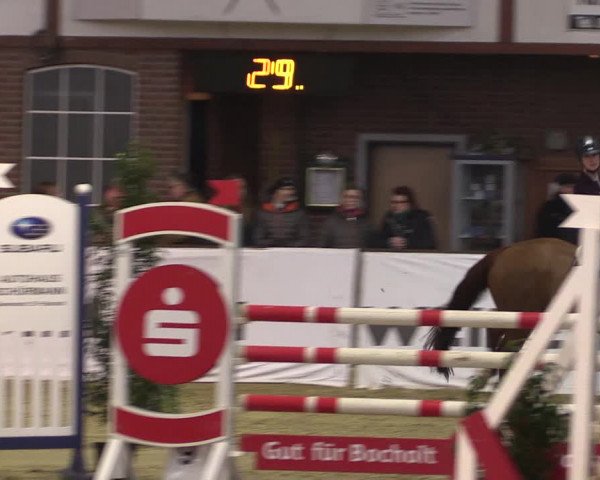 Reitturnier Barlo-Bocholt 2020