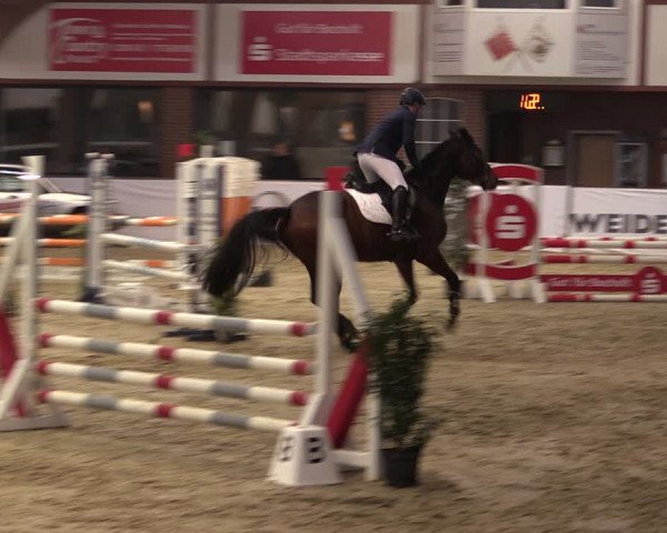 Reitturnier Barlo-Bocholt 2020