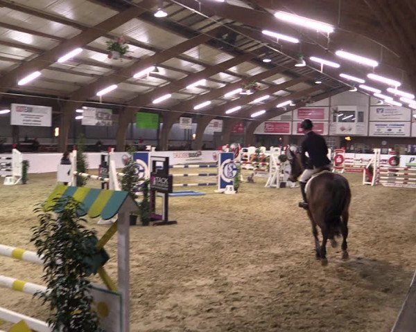 Reitturnier Barlo-Bocholt 2020