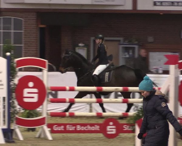 Reitturnier Barlo-Bocholt 2020