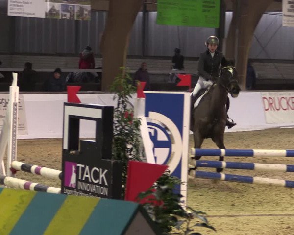 Reitturnier Barlo-Bocholt 2020