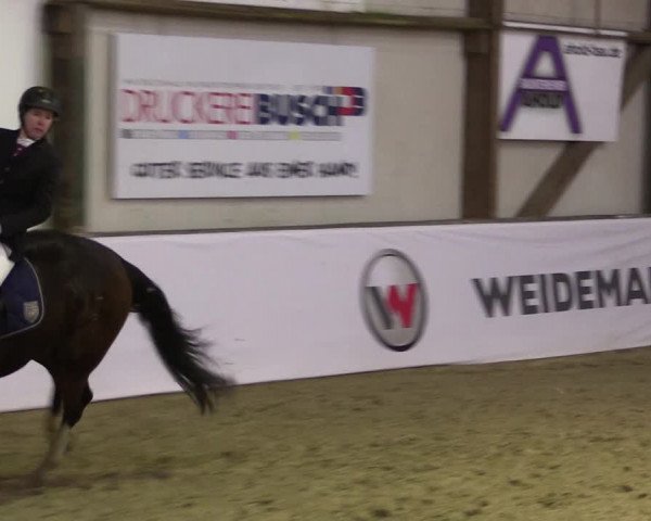 Reitturnier Barlo-Bocholt 2020