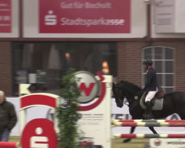 Reitturnier Barlo-Bocholt 2020