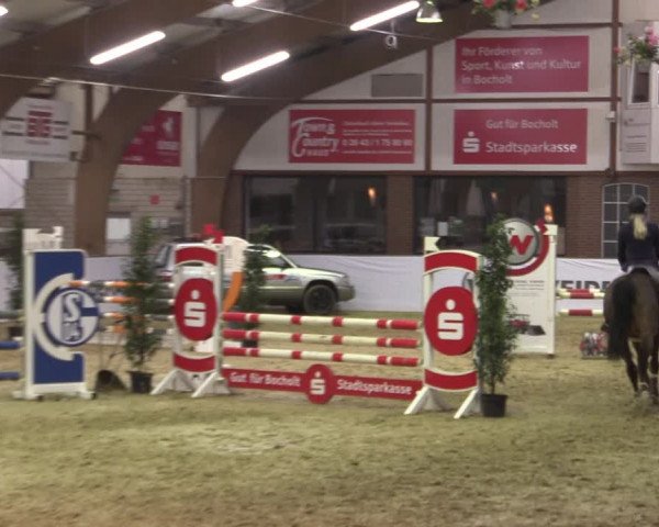 Reitturnier Barlo-Bocholt 2020