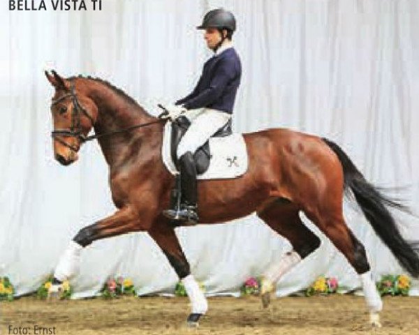 horse Bella Vista TI (Hanoverian, 2010, from Bonifatius)