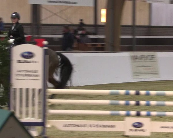 Reitturnier Barlo-Bocholt 2020
