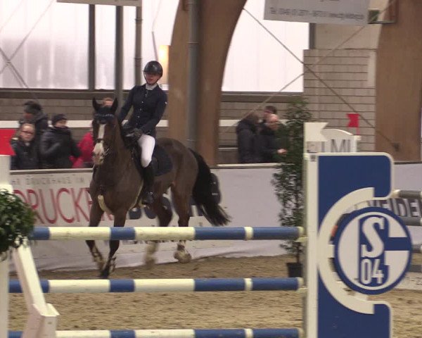 Reitturnier Barlo-Bocholt 2020
