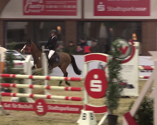 Reitturnier Barlo-Bocholt 2020