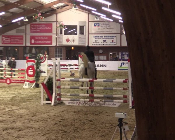 Reitturnier Barlo-Bocholt 2020