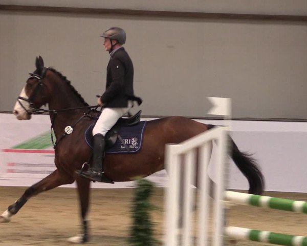 Reitturnier Barlo-Bocholt 2020