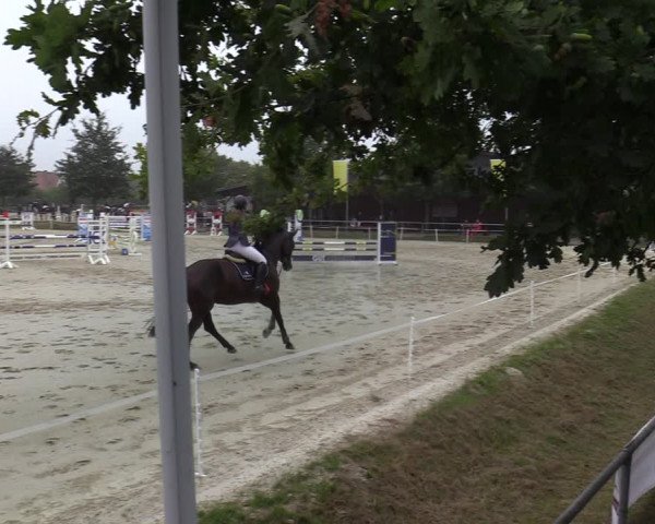 Reitturnier Ascheberg 2021