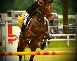 jumper Forite (KWPN (Royal Dutch Sporthorse), 2010, from Numero Uno)