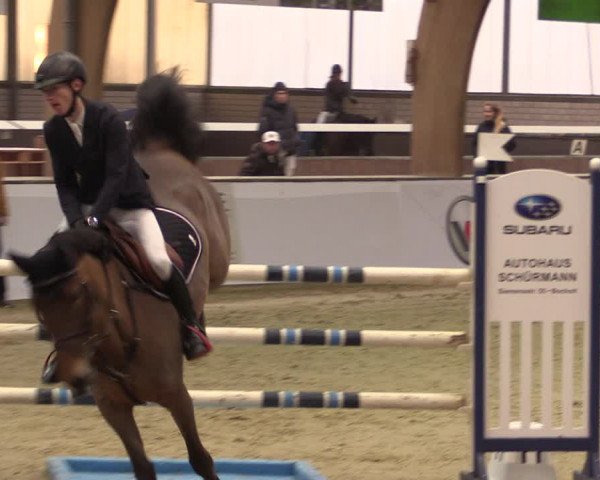 Reitturnier Barlo-Bocholt 2020