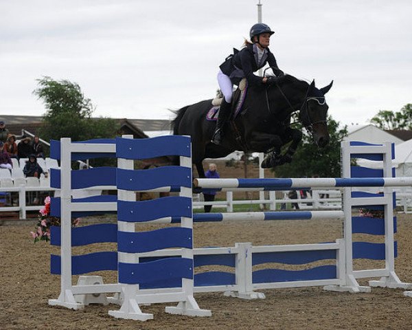 broodmare Darling Hdh (KWPN (Royal Dutch Sporthorse), 2008, from Douglas)