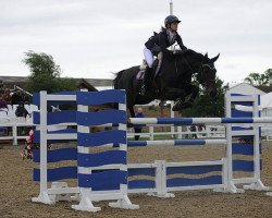 broodmare Darling Hdh (KWPN (Royal Dutch Sporthorse), 2008, from Douglas)
