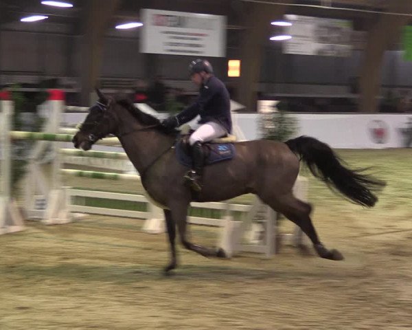 Reitturnier Barlo-Bocholt 2020
