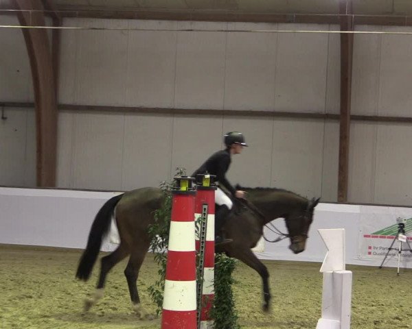 Reitturnier Barlo-Bocholt 2020