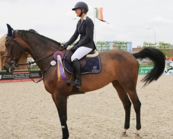 jumper Demone des Rosiers Z (Zangersheide riding horse, 2005, from Darco)