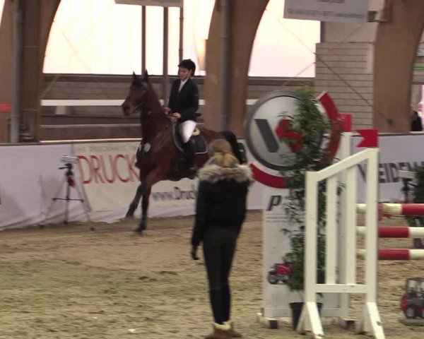 Reitturnier Barlo-Bocholt 2020