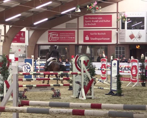 Reitturnier Barlo-Bocholt 2020