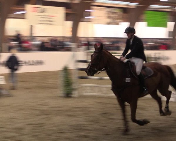 Reitturnier Barlo-Bocholt 2020