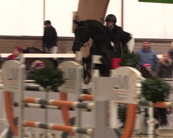 Reitturnier Barlo-Bocholt 2020
