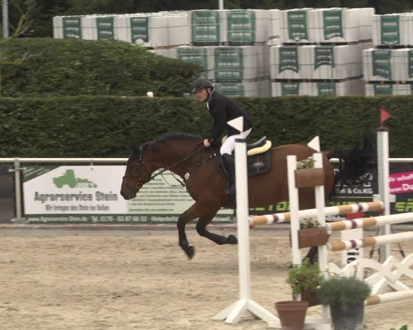 Reitturnier Durmersheim-Hardt 2021