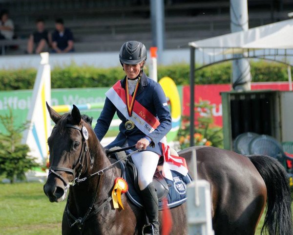 broodmare Speranza 3 (Hanoverian, 2005, from Silvio I)