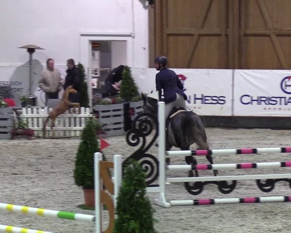 Nordic Jumping events 2020