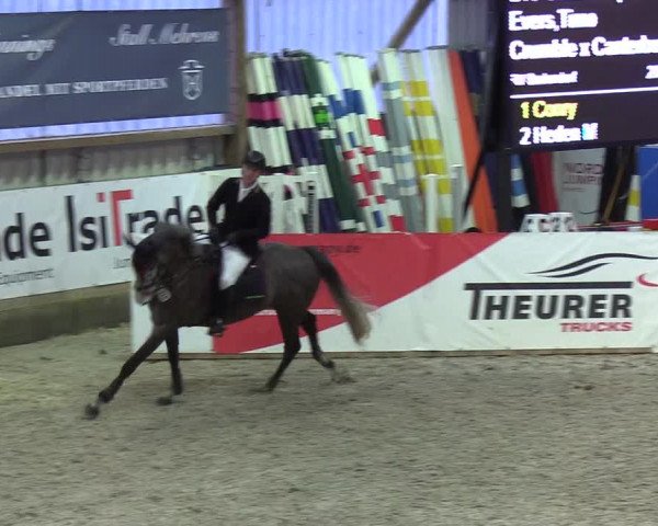 Nordic Jumping events 2020
