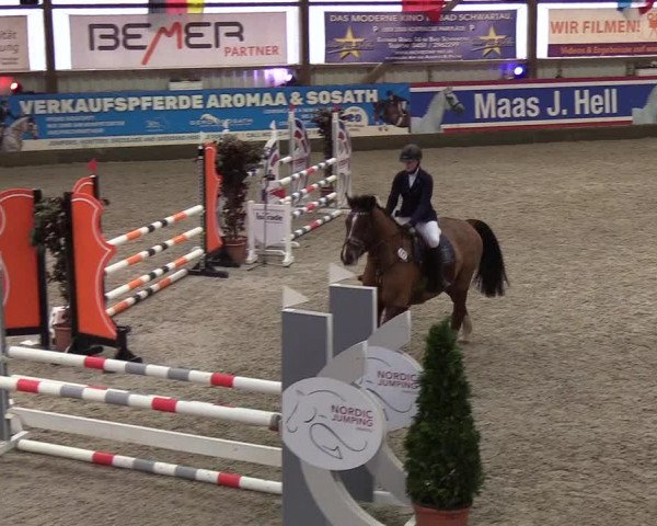 Nordic Jumping events 2020