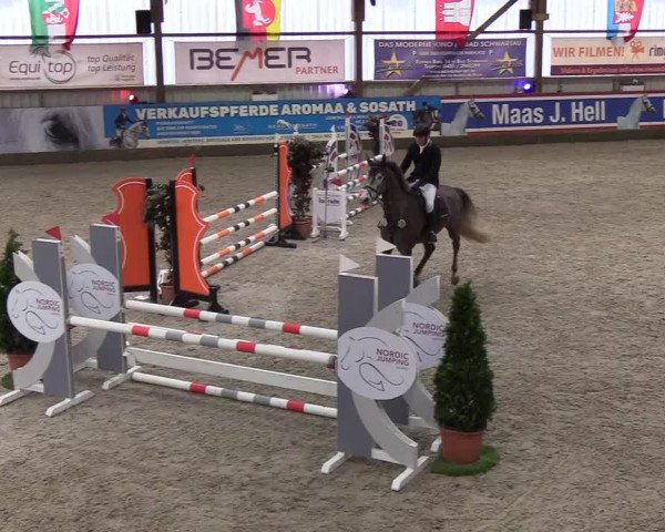 Nordic Jumping events 2020