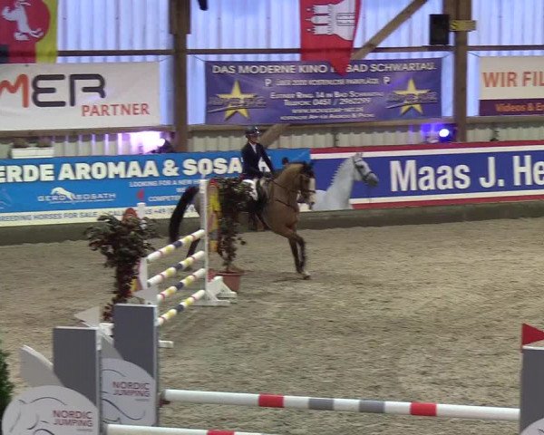 Nordic Jumping events 2020