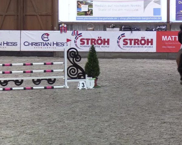Nordic Jumping events 2020