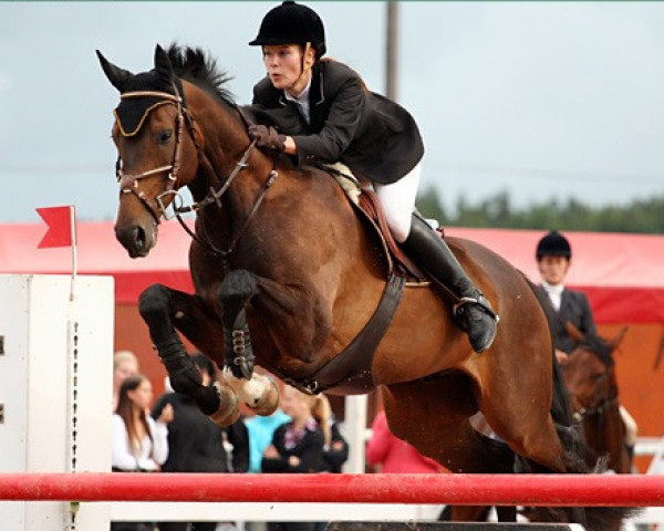 horse Lauries Lucky Luke (Oldenburg, 2004, from Lauries Crusador xx) horse Lauries Lucky Luke (Oldenburg, 2004, from Lauries Crusador xx)