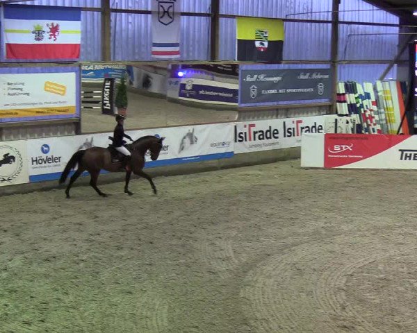 Nordic Jumping events 2020