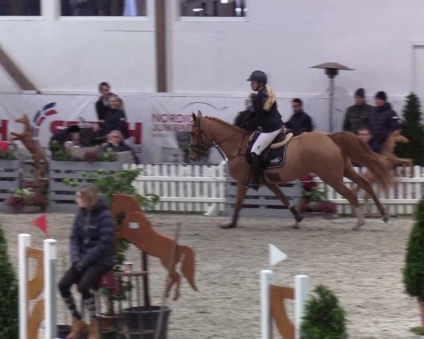 Nordic Jumping events 2020