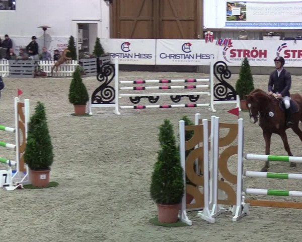 Nordic Jumping events 2020