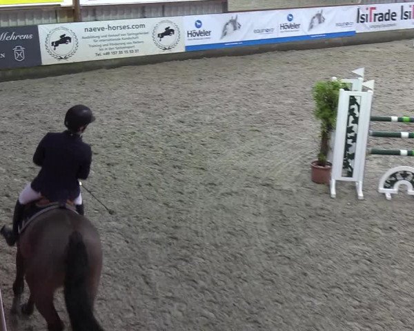 Nordic Jumping events 2020