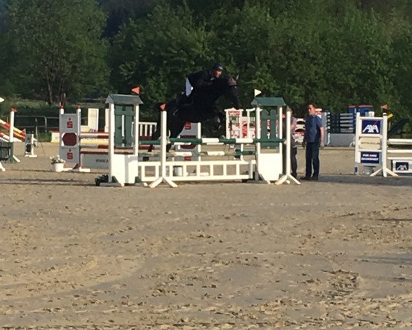 jumper Diago del Carbid (Westphalian, 2011, from Doolittle 129)